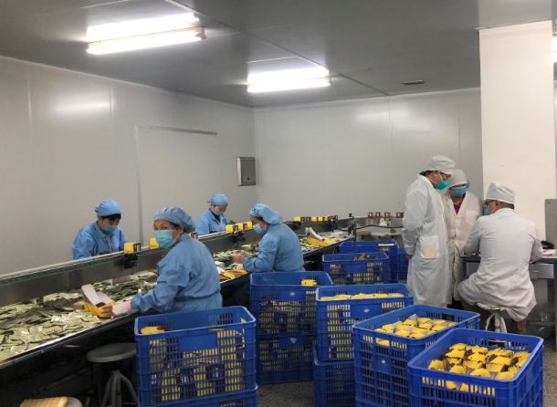 【初心如磐，，，使命在肩】亚洲必赢第三党支部组织员工提前复工包管生产